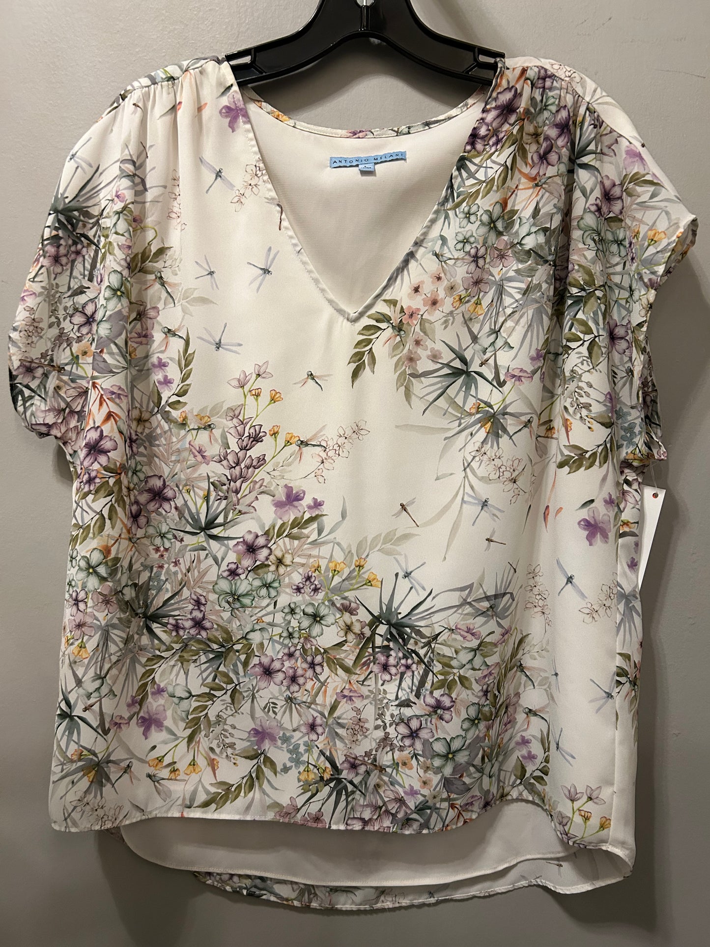 Top Short Sleeve By Antonio Melani In Cream, Size: L