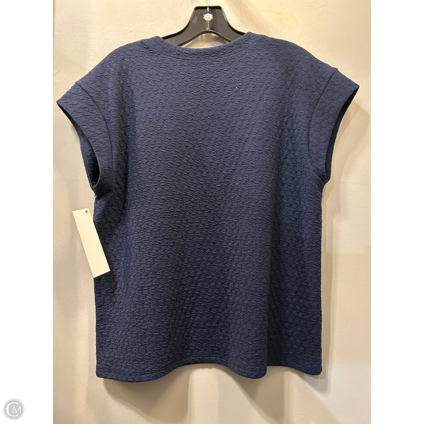 Top Short Sleeve By Kim & Cami In Blue, Size: L