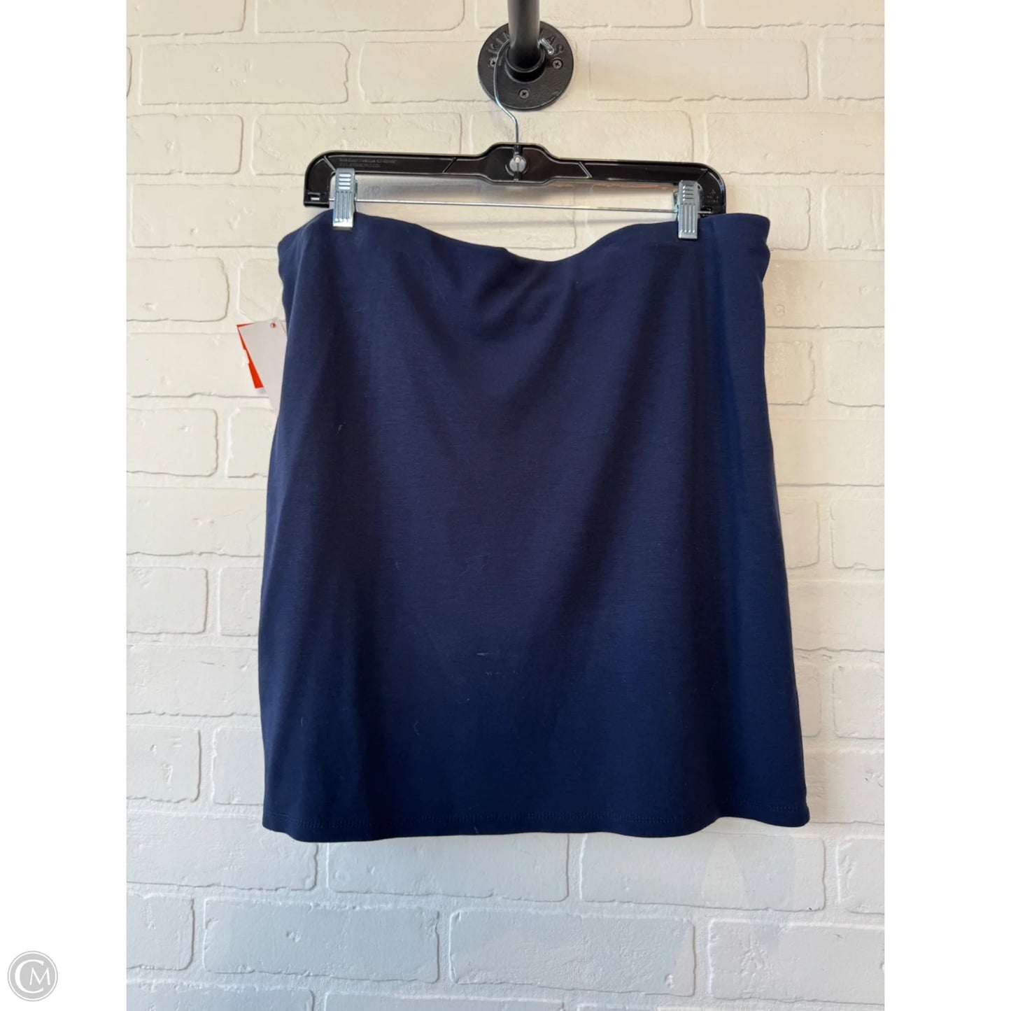 Skirt Mini & Short By Dip In Blue, Size: 16