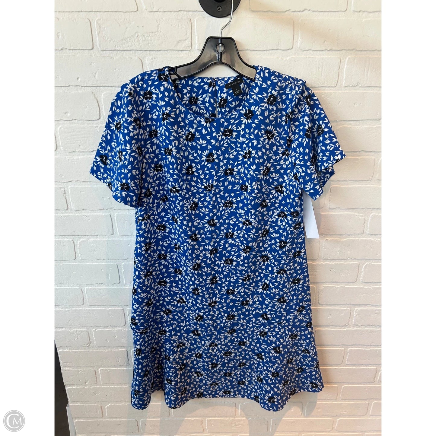 Dress Casual Short By Ann Taylor In Blue & White, Size: Xs