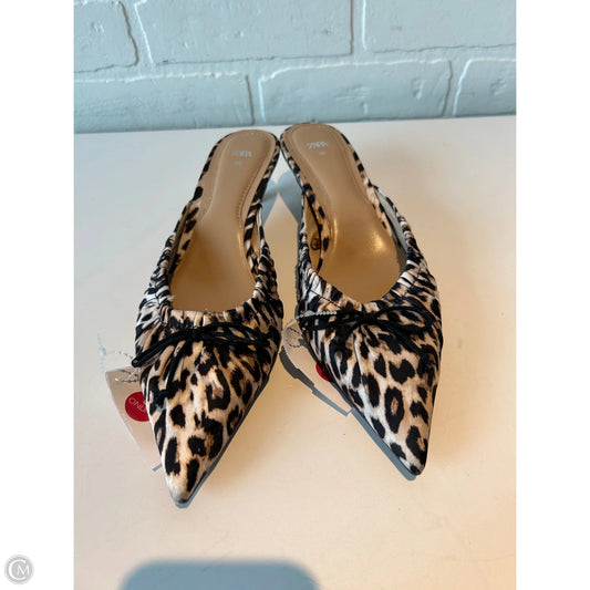 Shoes Heels Kitten By Zara In Animal Print, Size: 6