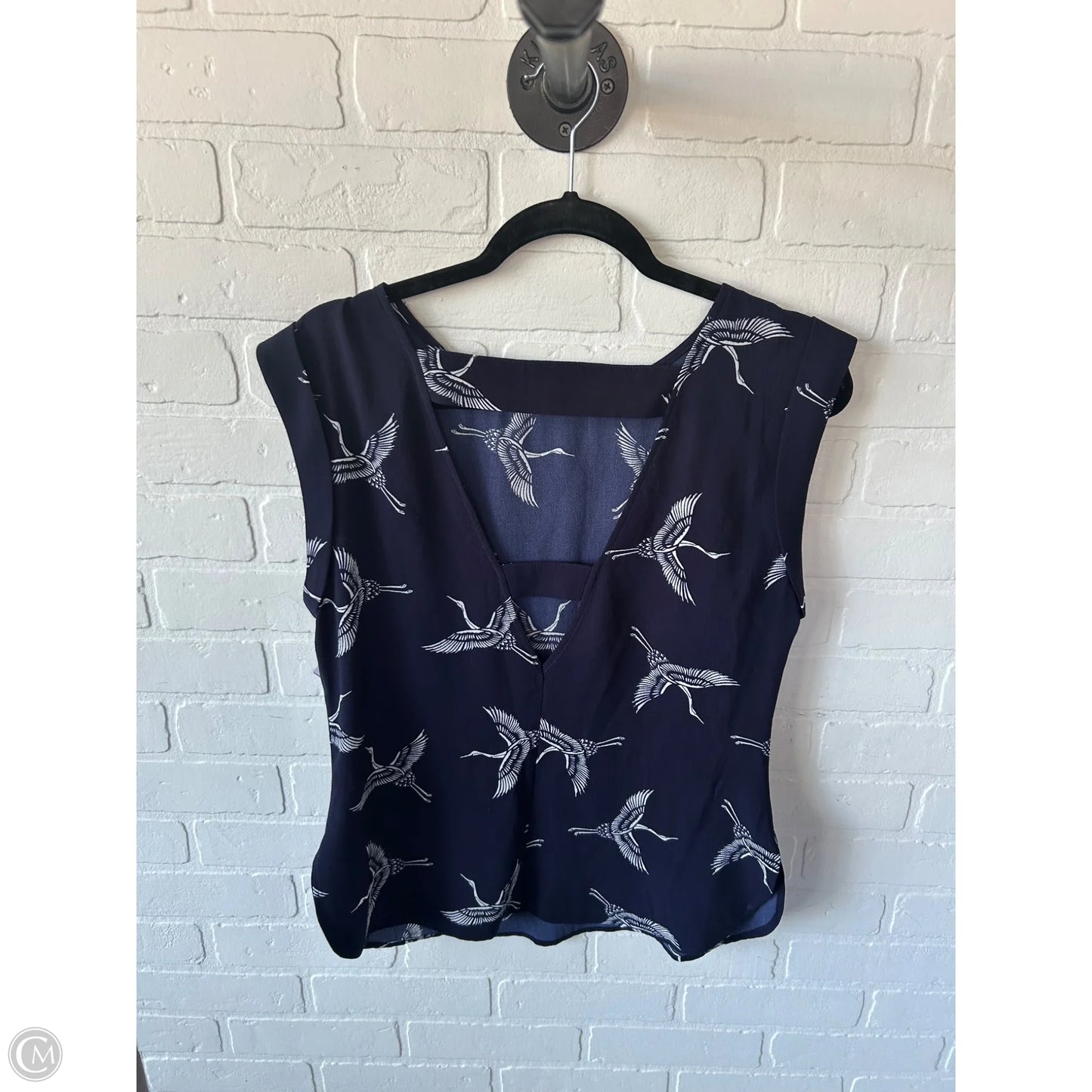 Top Sleeveless By Cmc In Blue & White, Size: Xs