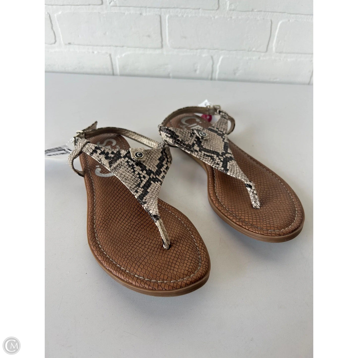 Sandals Flats By Circus By Sam Edelman In Brown & Cream, Size: 7