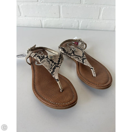 Sandals Flats By Circus By Sam Edelman In Brown & Cream, Size: 7