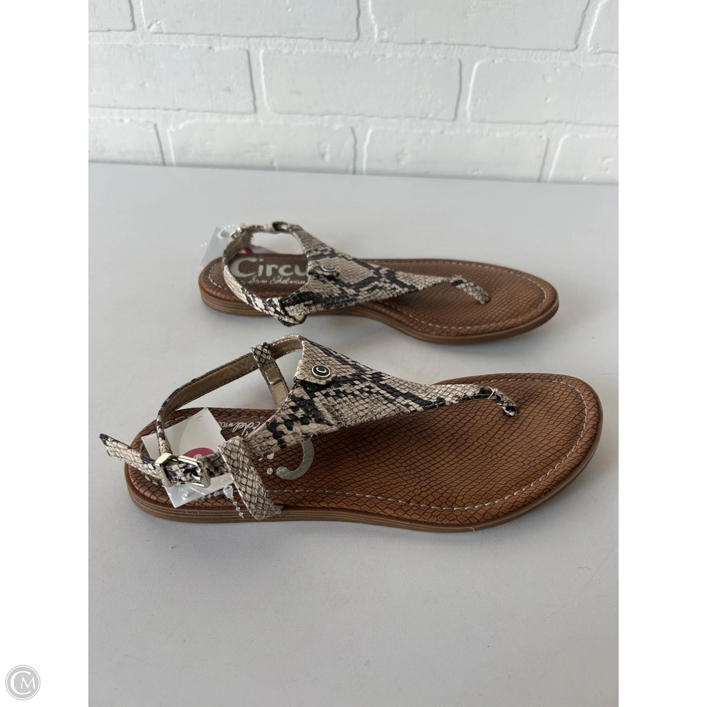 Sandals Flats By Circus By Sam Edelman In Brown & Cream, Size: 7