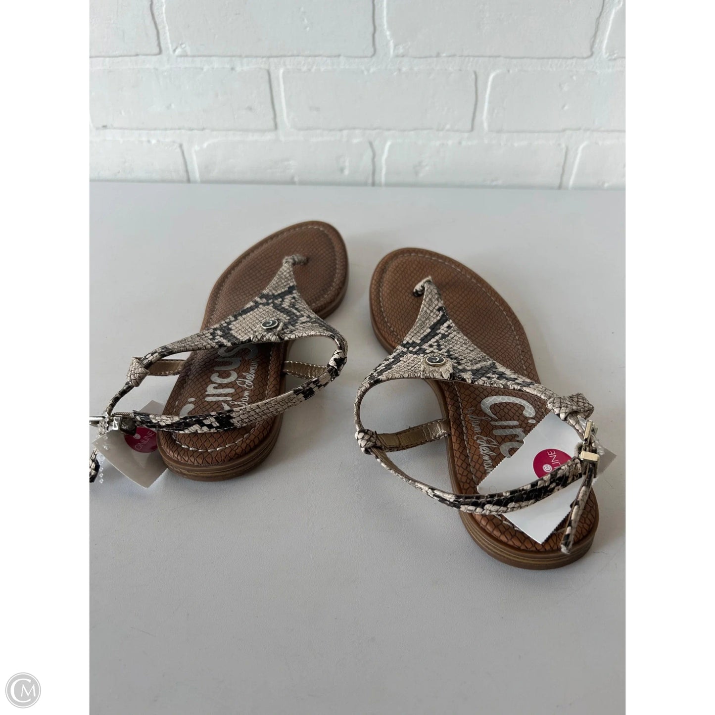 Sandals Flats By Circus By Sam Edelman In Brown & Cream, Size: 7