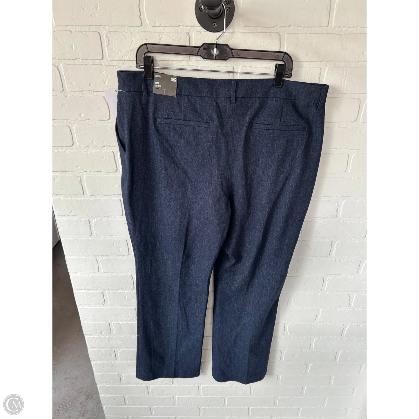 Pants Other By Express In Blue, Size: 16