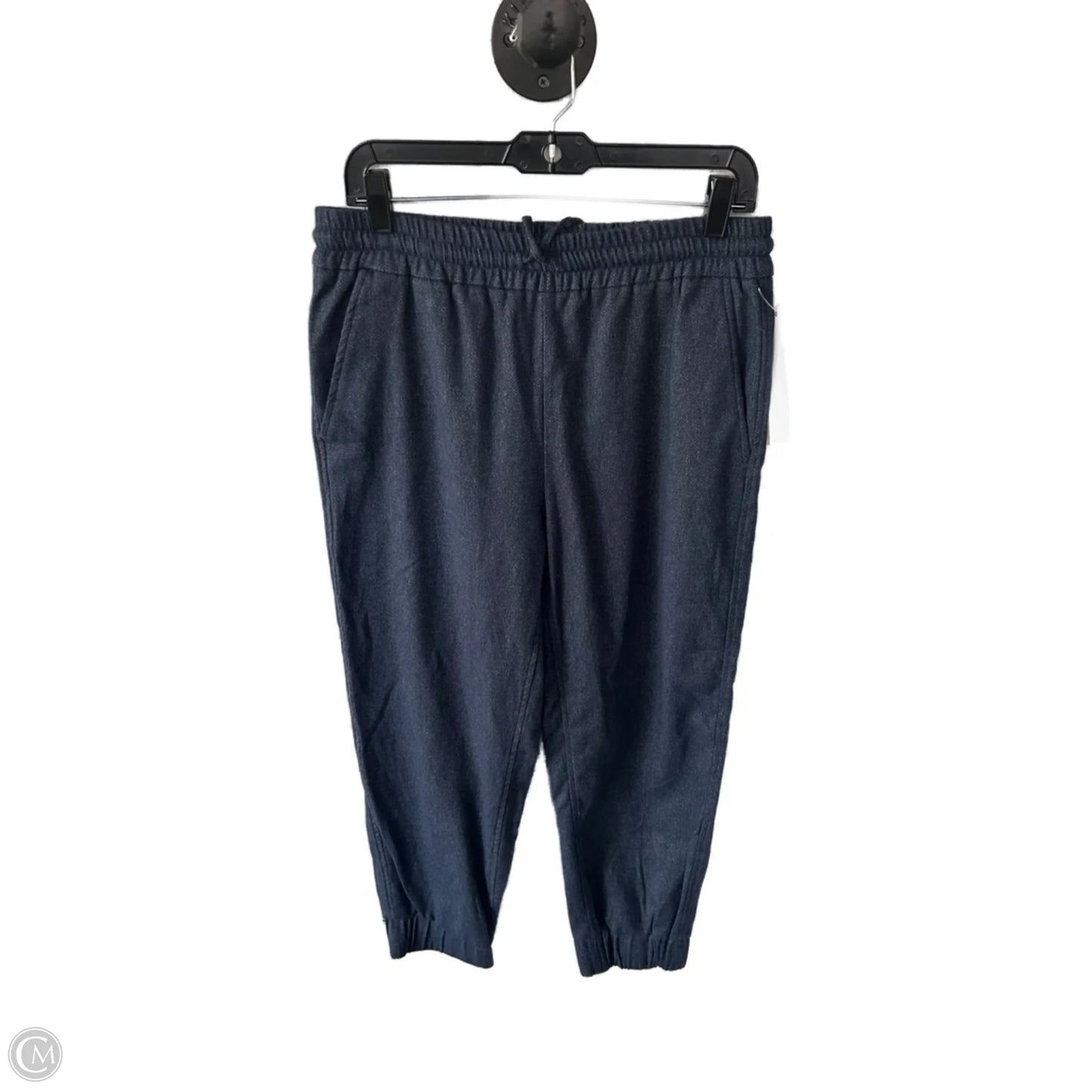 Pants Joggers By Zara In Blue, Size: 12