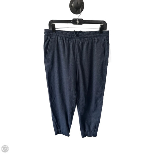 Pants Joggers By Zara In Blue, Size: 12
