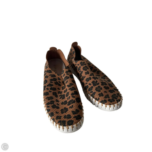 Shoes Flats By Cmc In Animal Print, Size: 8
