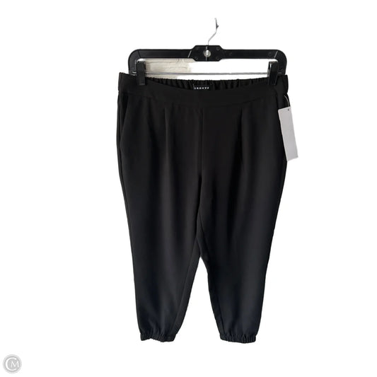 Pants Joggers By Trouve In Black, Size: 6