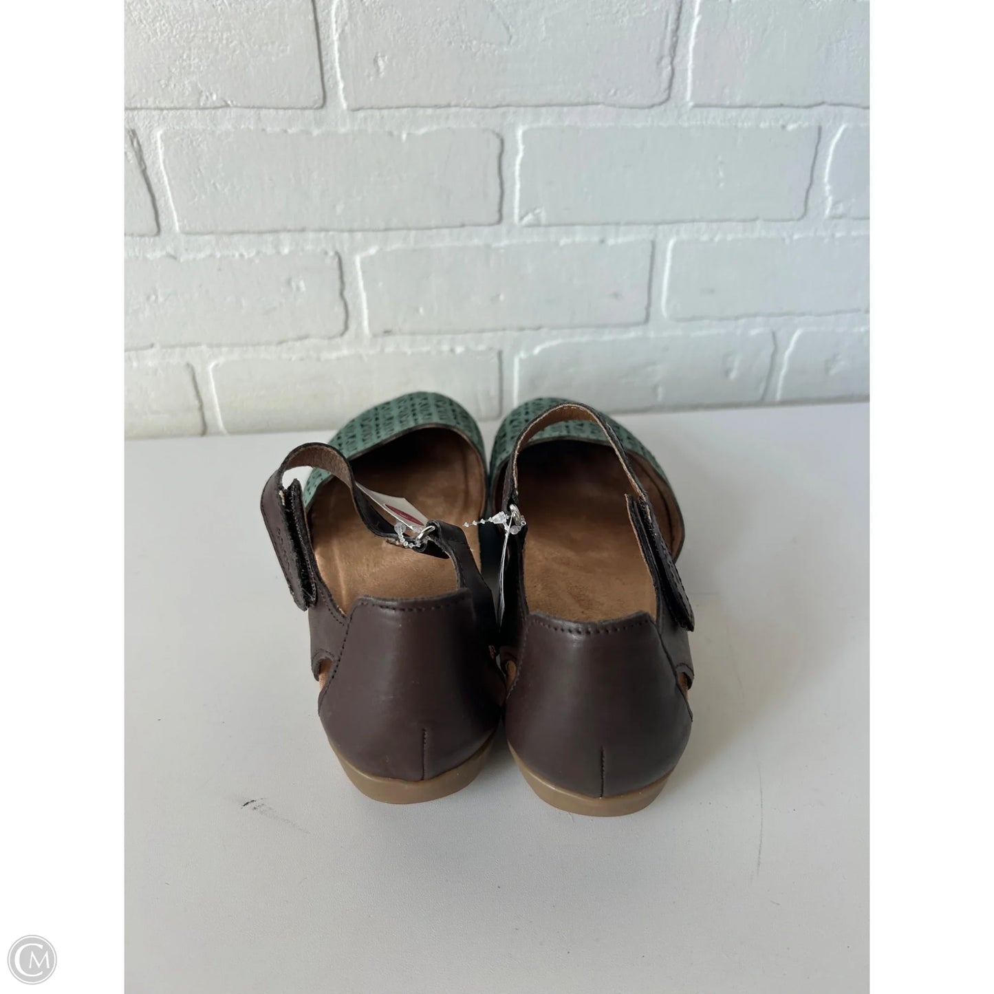 Shoes Flats By Earth Origins In Blue & Brown, Size: 8