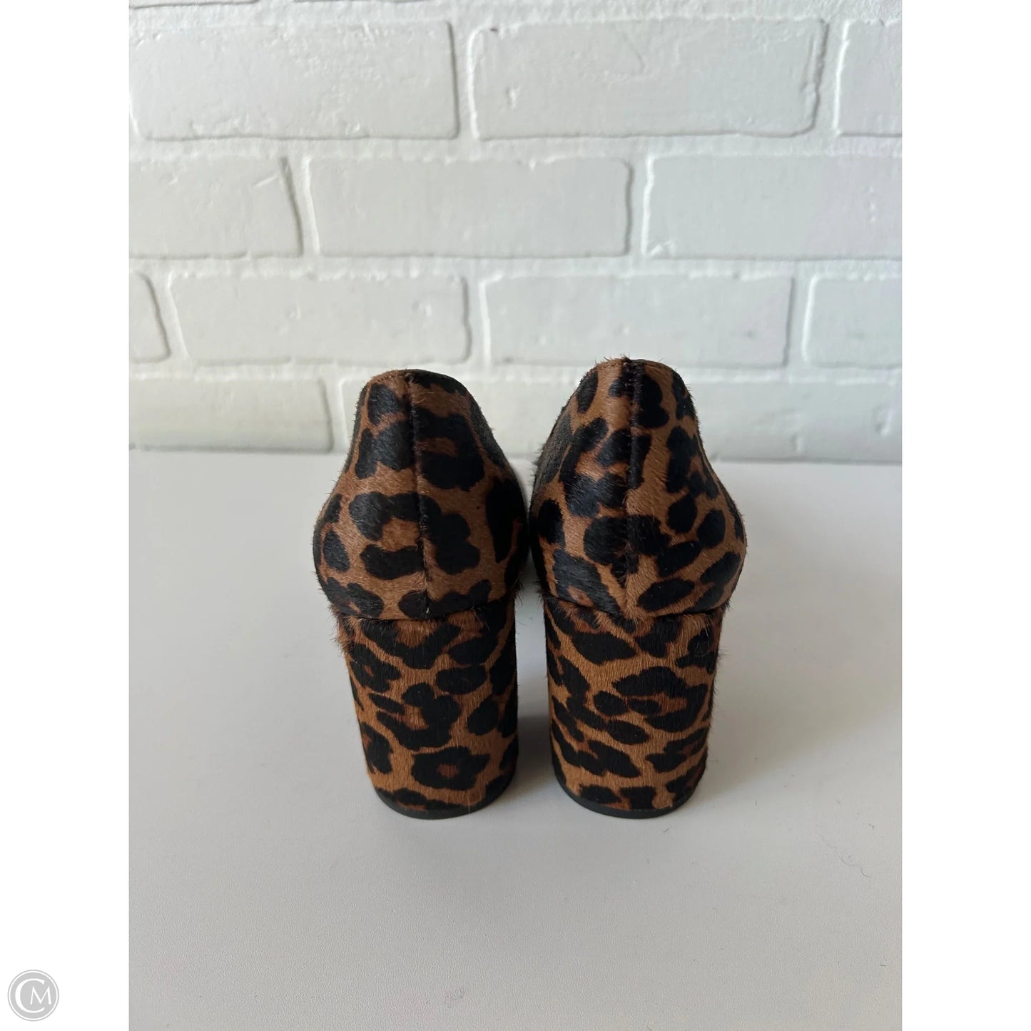 Shoes Heels Kitten By 1.state In Black & Brown, Size: 9