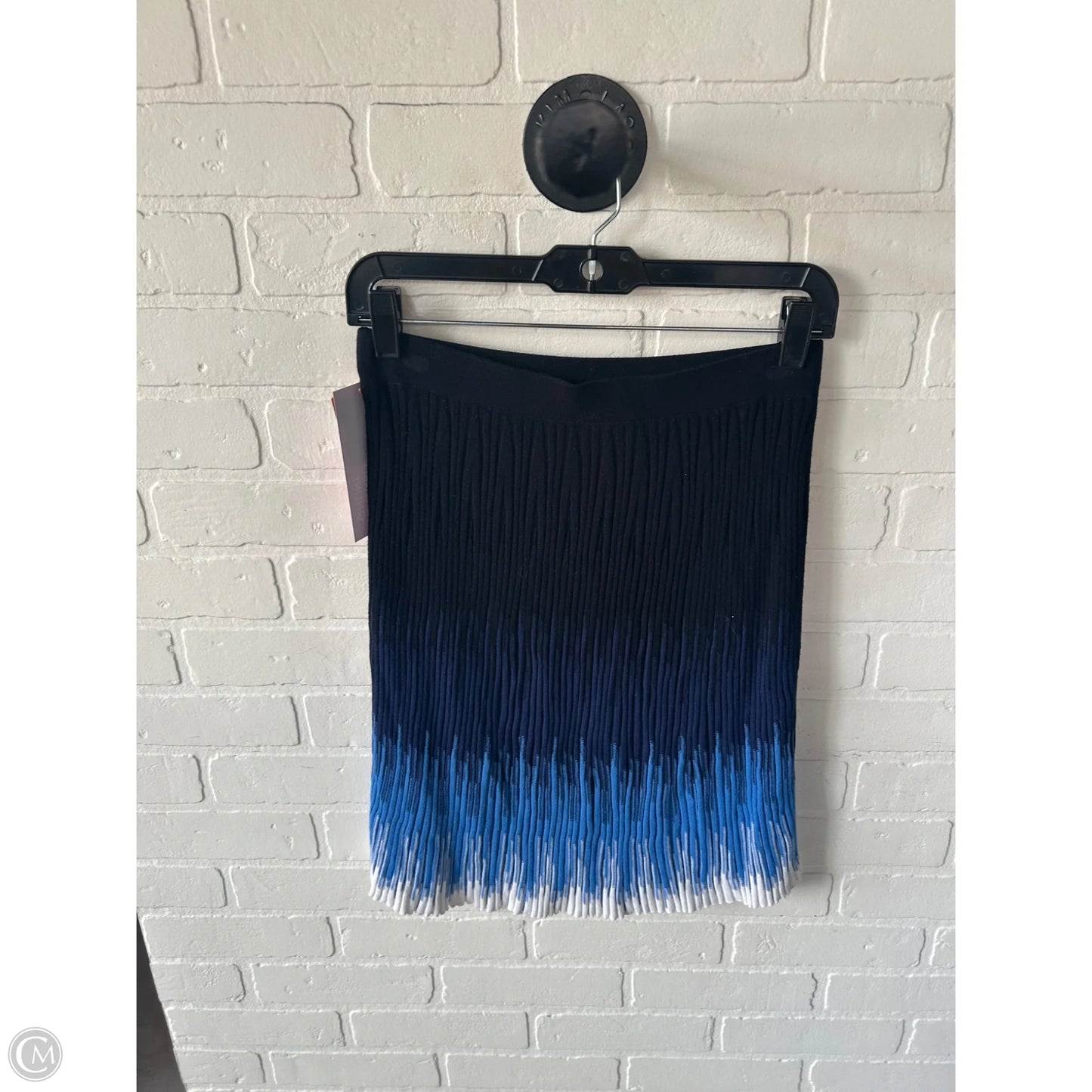 Skirt Mini & Short By Etcetra In Blue & White, Size: 0