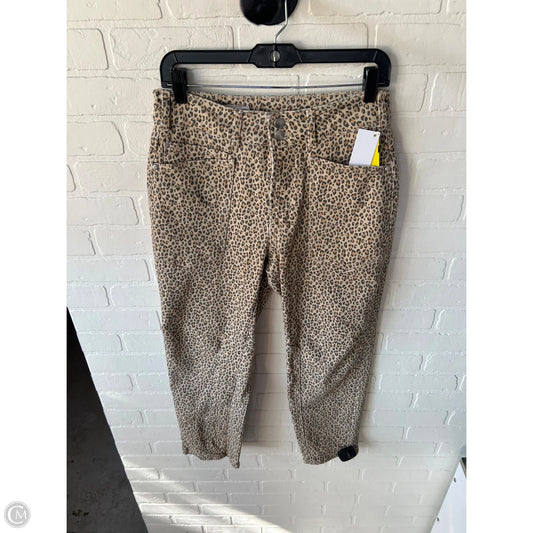 Jeans Straight By Pilcro In Tan, Size: 4