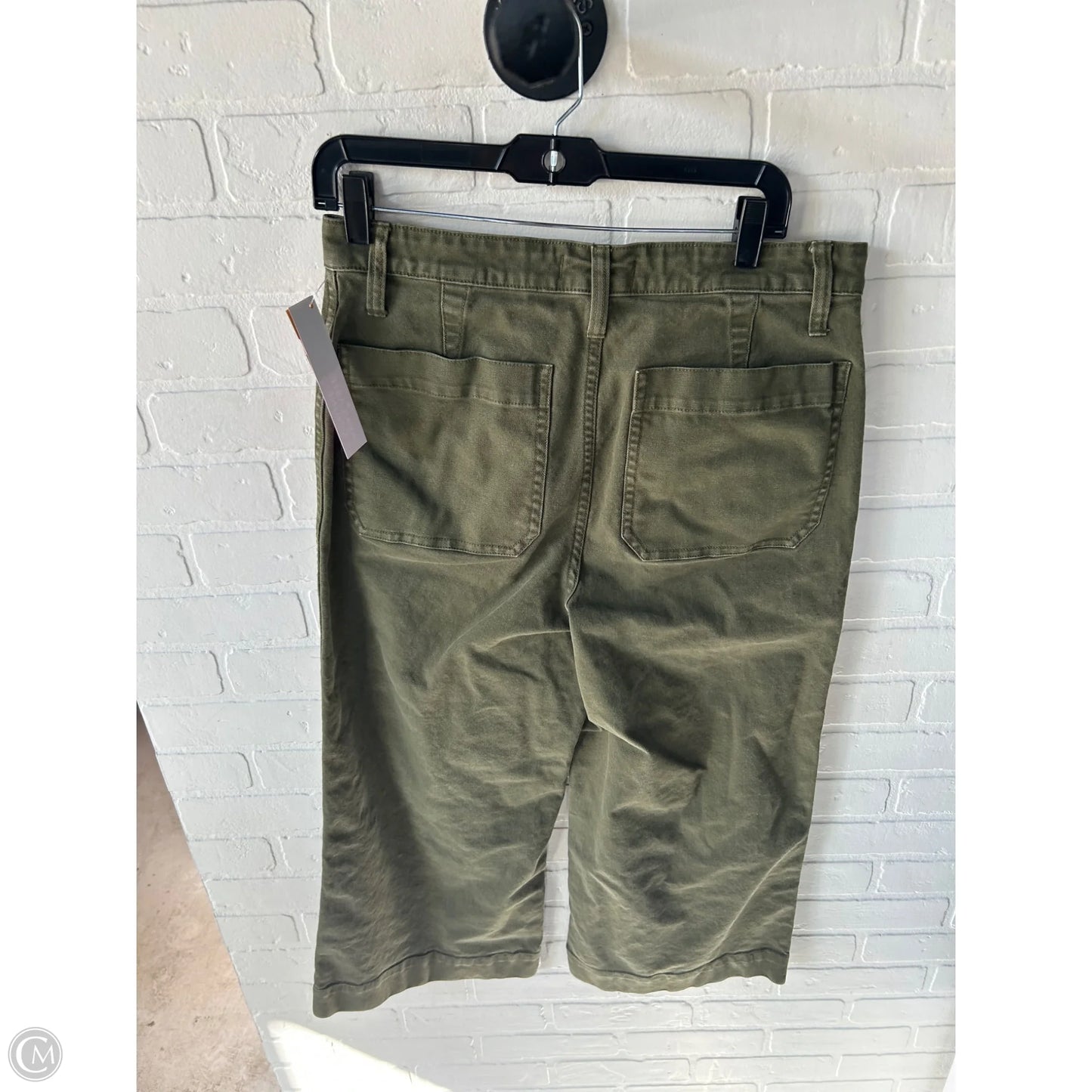 Pants Wide Leg By Madewell In Green, Size: 10