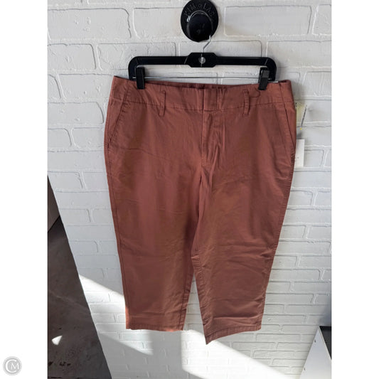 Pants Chinos & Khakis By A New Day In Brown, Size: 12