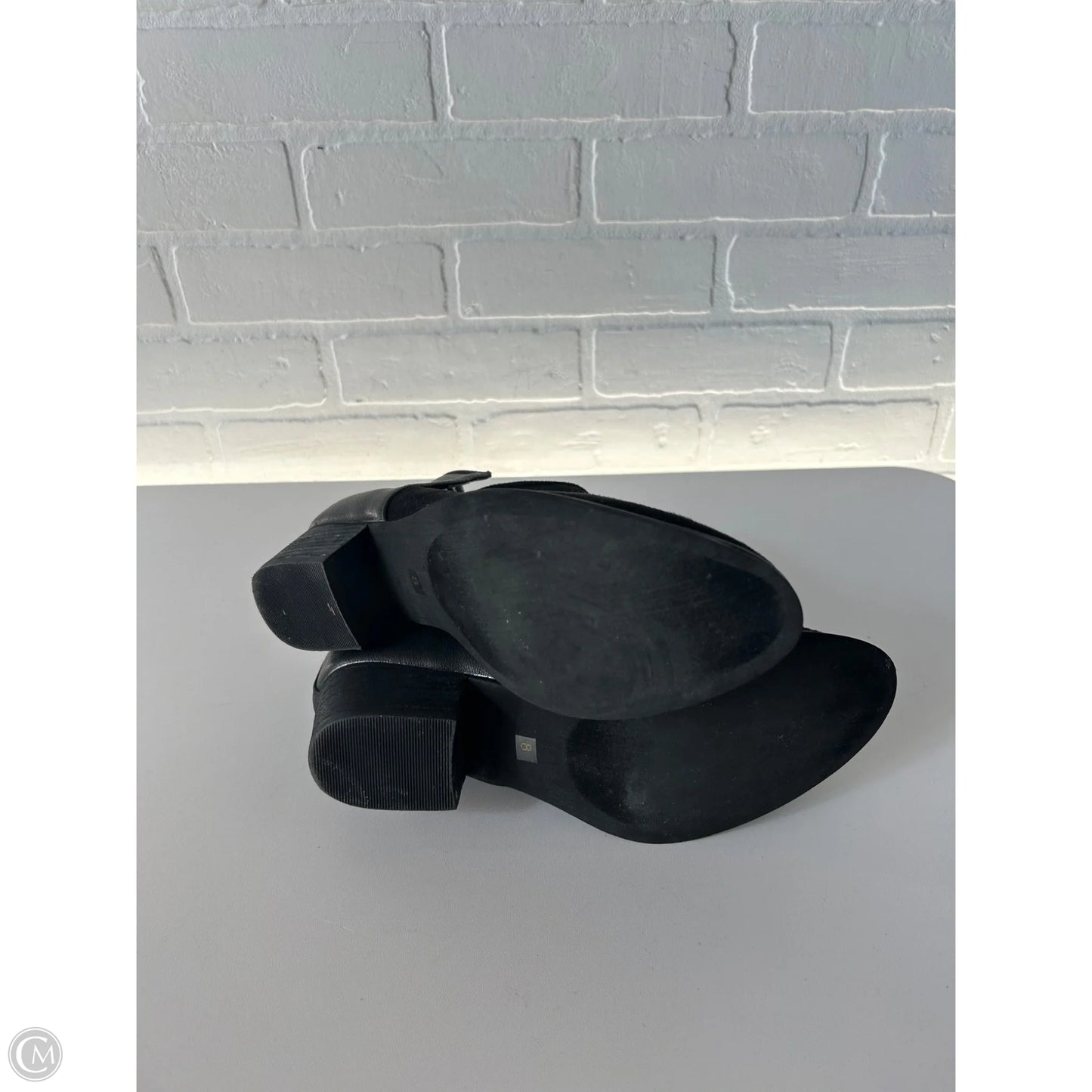 Boots Ankle Heels By Hippie Laundry In Black, Size: 8