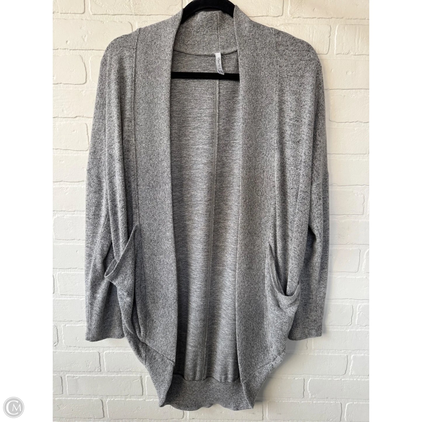 Sweater Cardigan By Z Supply In Grey, Size: Xs