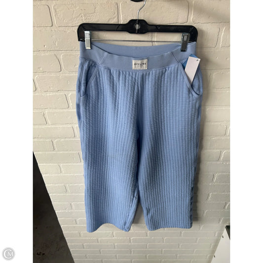 Pants Lounge By Offline By Aerie In Blue, Size: 4