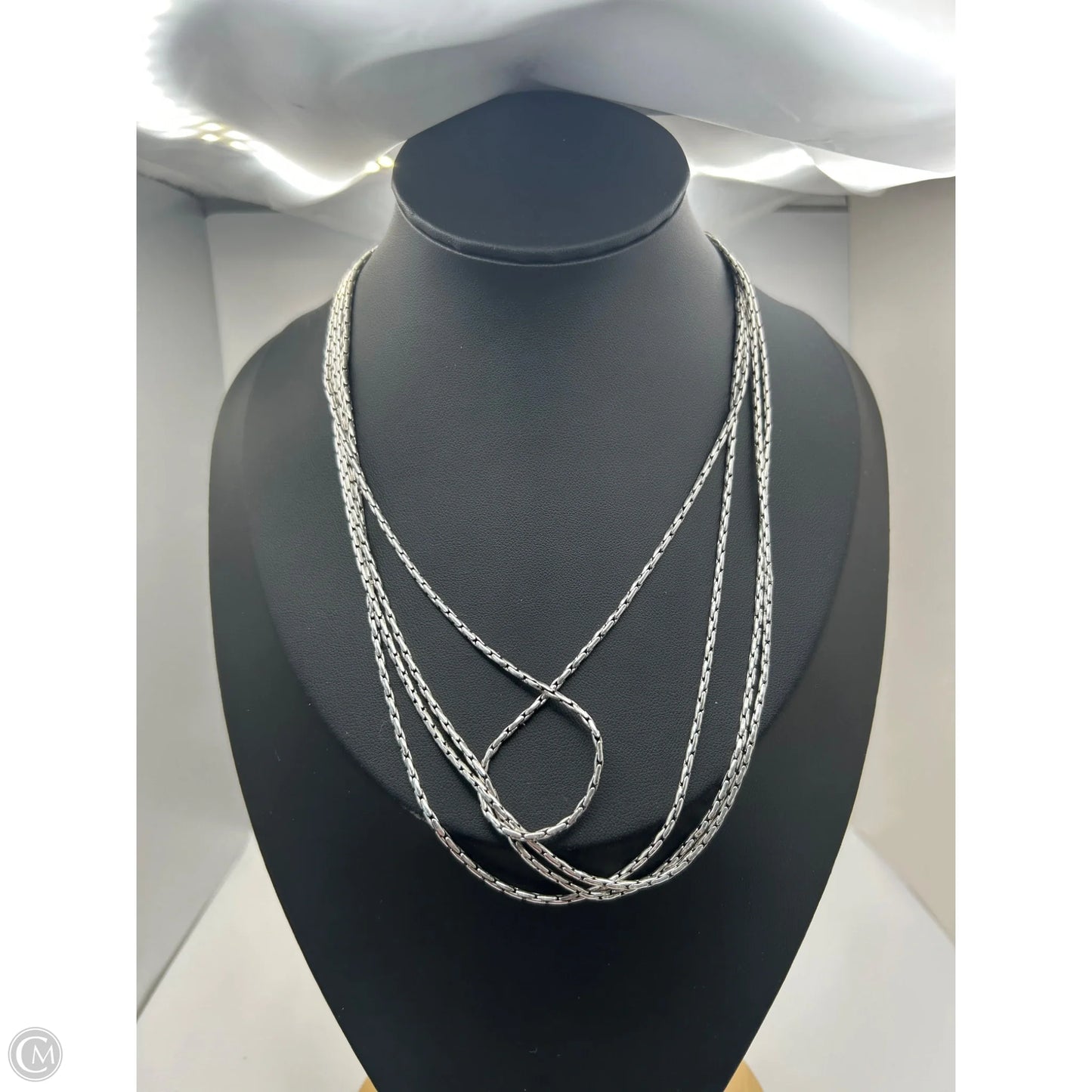Necklace Chain By Premier Designs