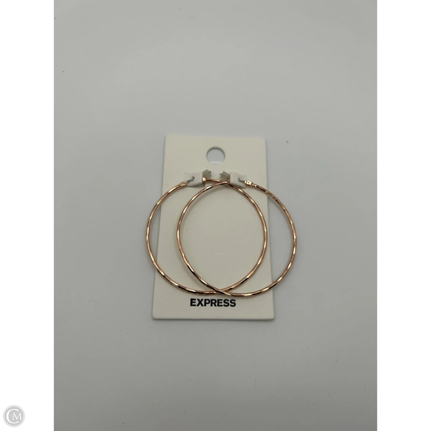 Earrings Hoop By Express