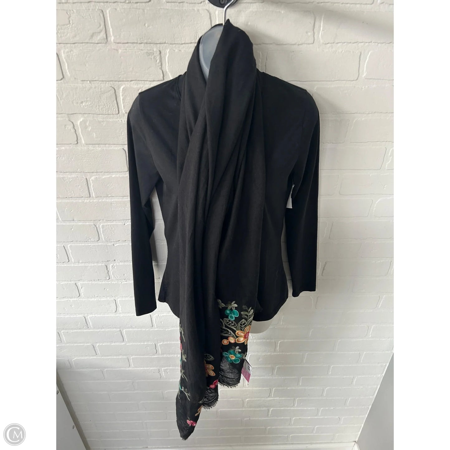 Scarf Long By Clothes Mentor