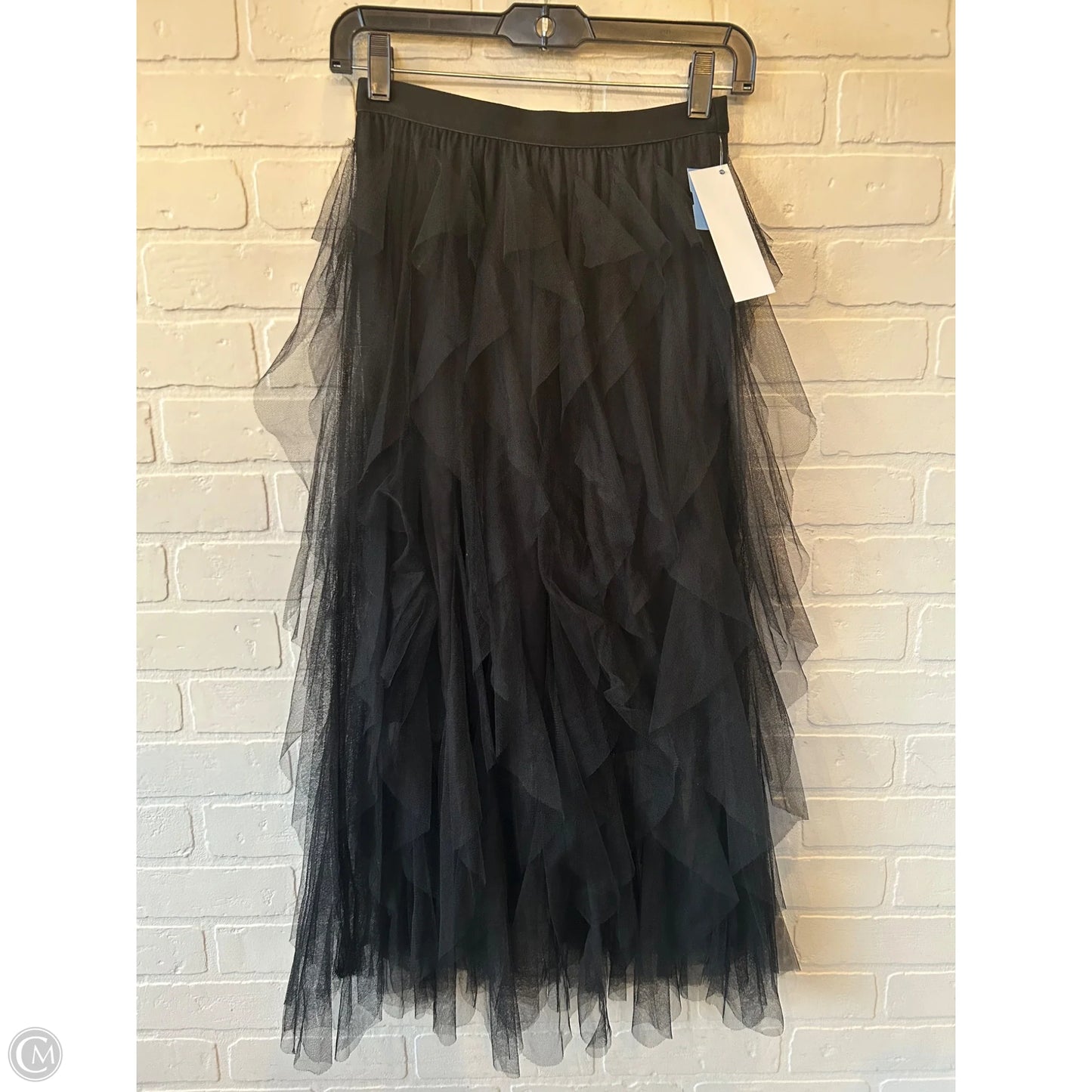 Skirt Maxi By Pinch In Black, Size: 4