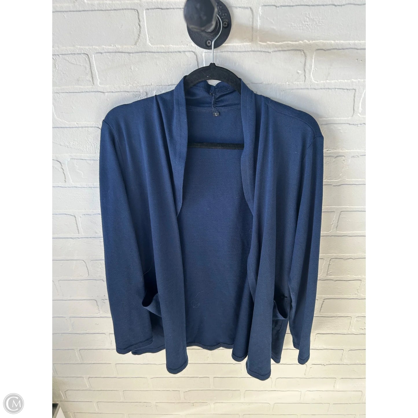 Sweater Cardigan By Clothes Mentor In Blue, Size: L