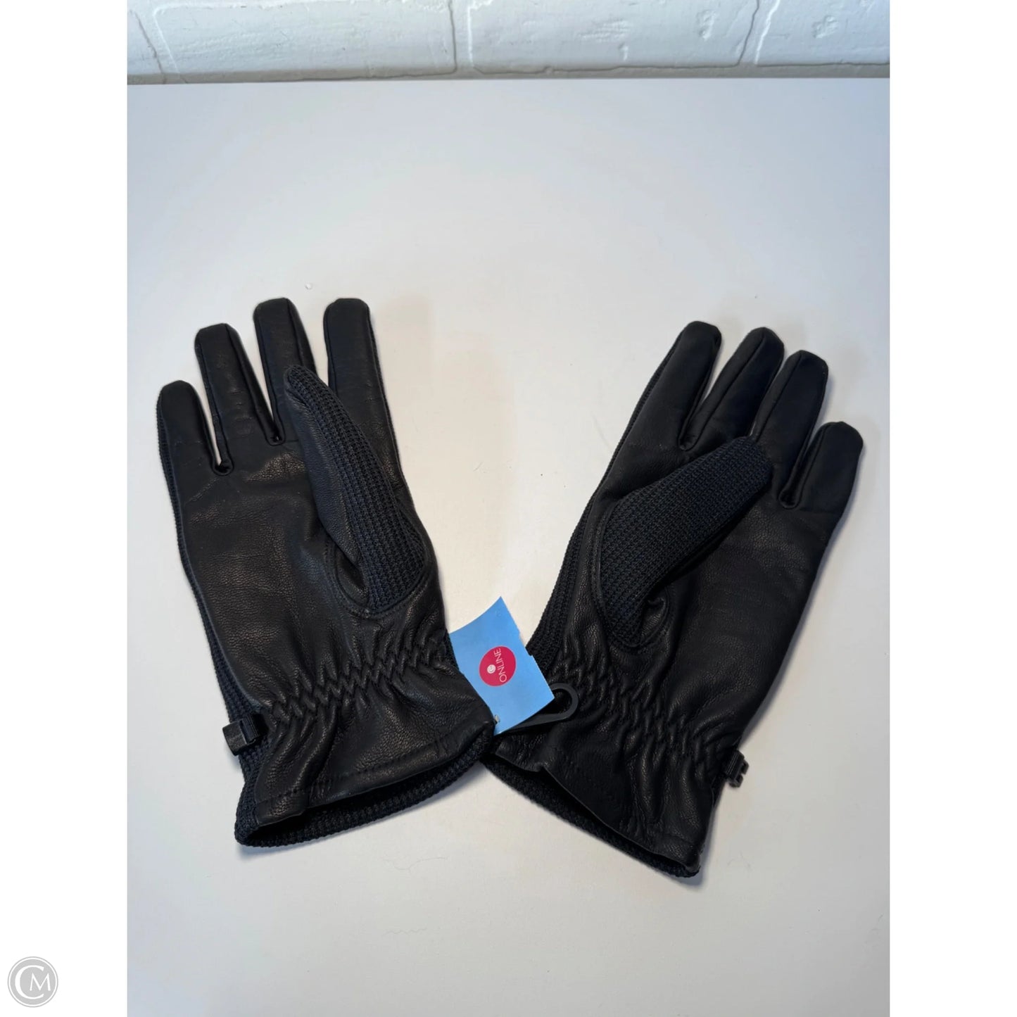 Gloves By Spyder