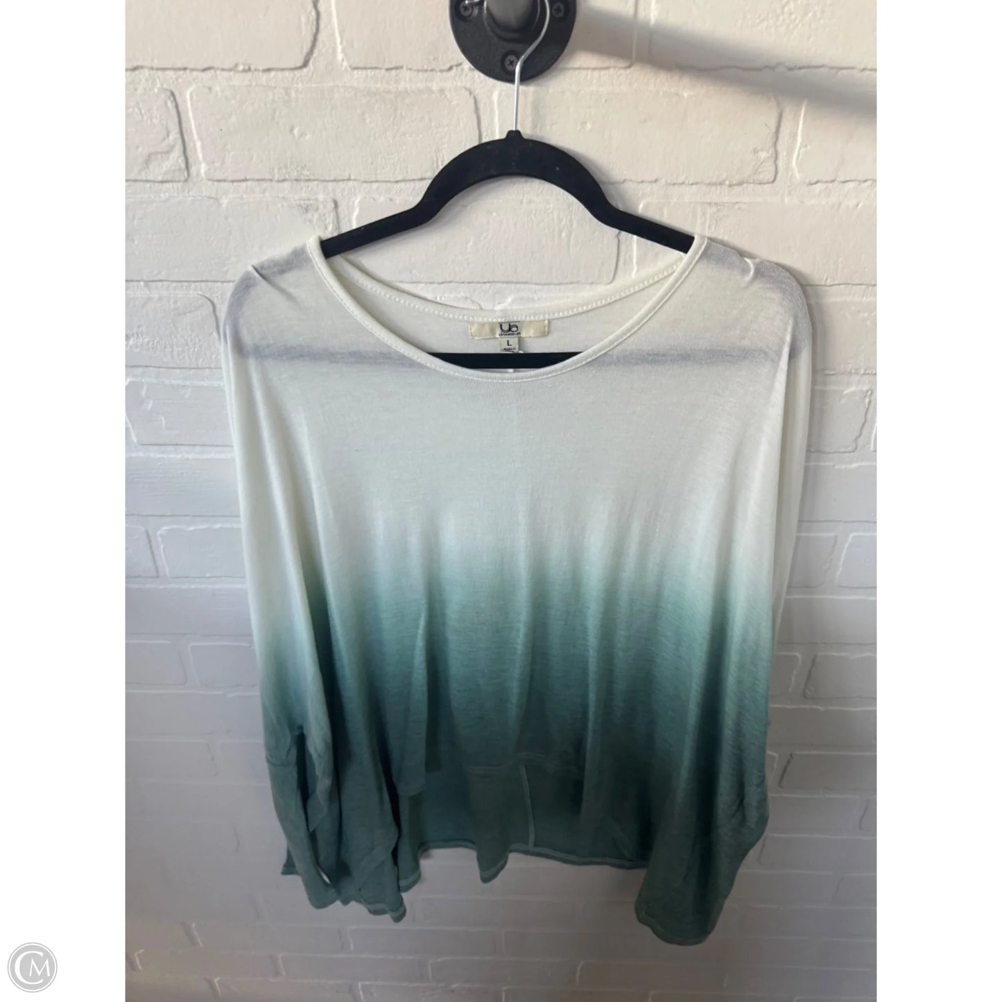 Top Long Sleeve By Ya In Cream & Green, Size: L