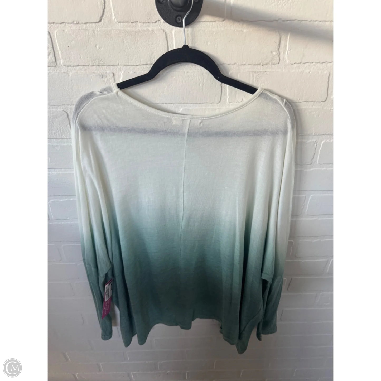 Top Long Sleeve By Ya In Cream & Green, Size: L