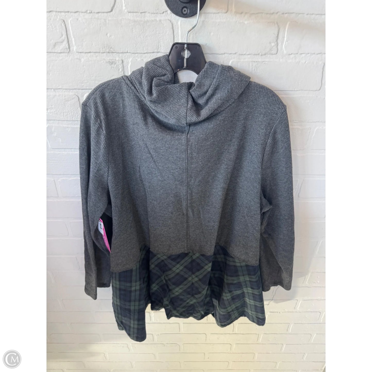 Top Long Sleeve By Suzanne Betro In Grey, Size: 2x