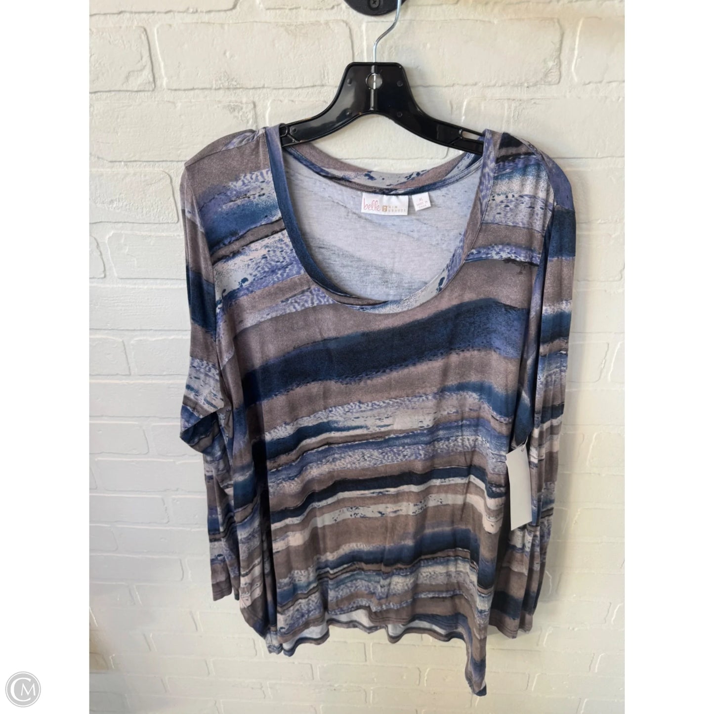 Top Long Sleeve By Belle By Kim Gravel In Blue & Grey, Size: Xl