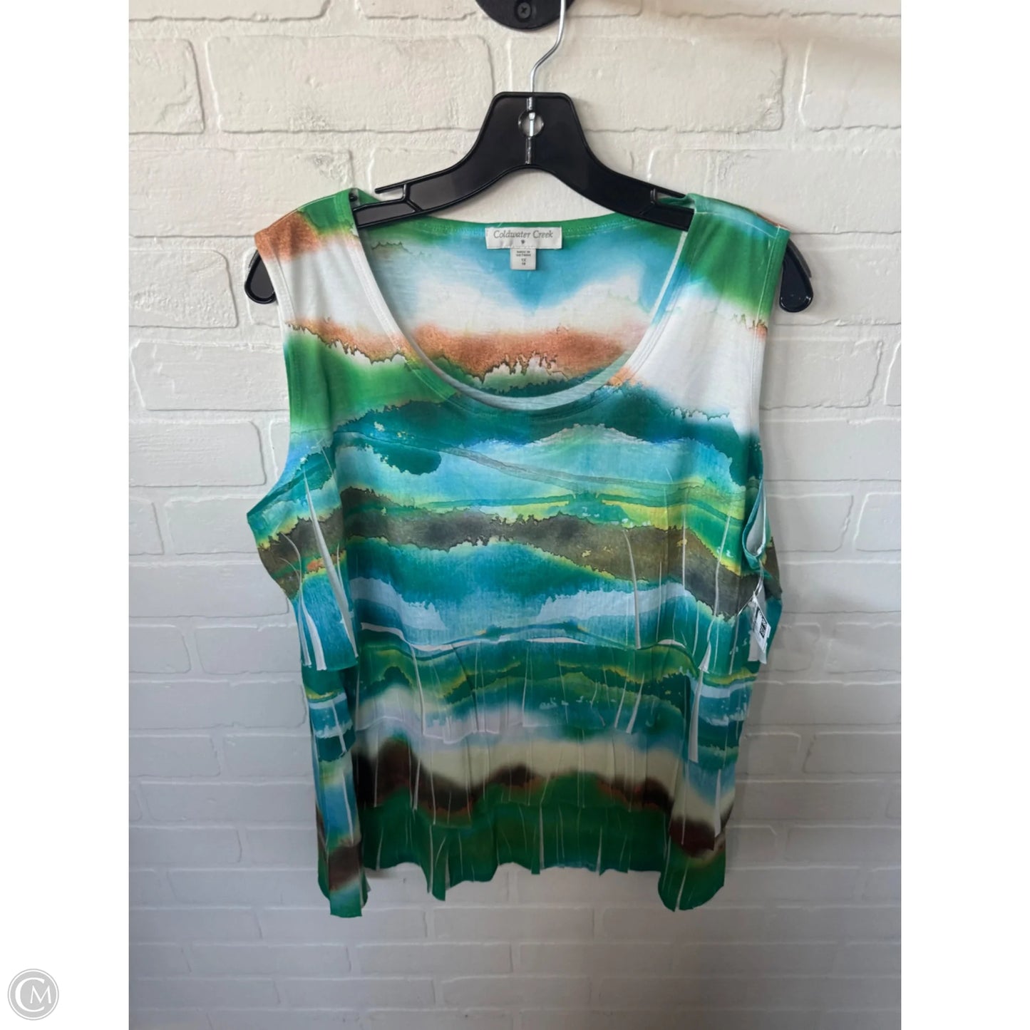 Top Sleeveless By Coldwater Creek In Green & White, Size: 1x