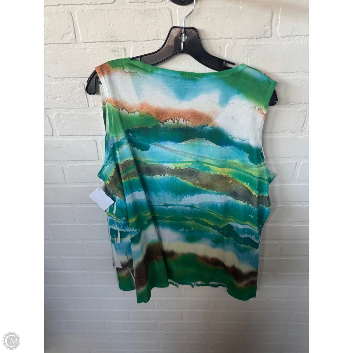Top Sleeveless By Coldwater Creek In Green & White, Size: 1x