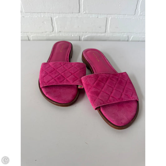 Sandals Flats By Ann Taylor In Pink, Size: 8