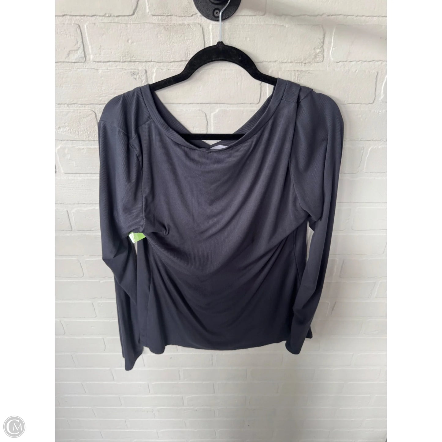 Top Long Sleeve Basic By Ekouaer In Grey, Size: 2x