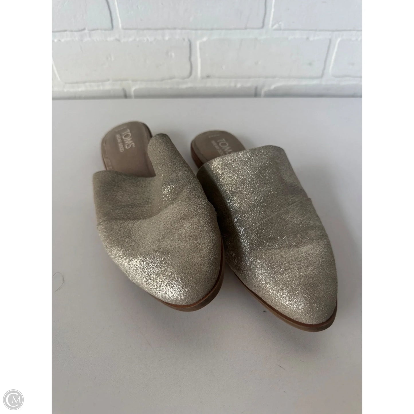 Shoes Flats By Toms In Silver, Size: 6.5