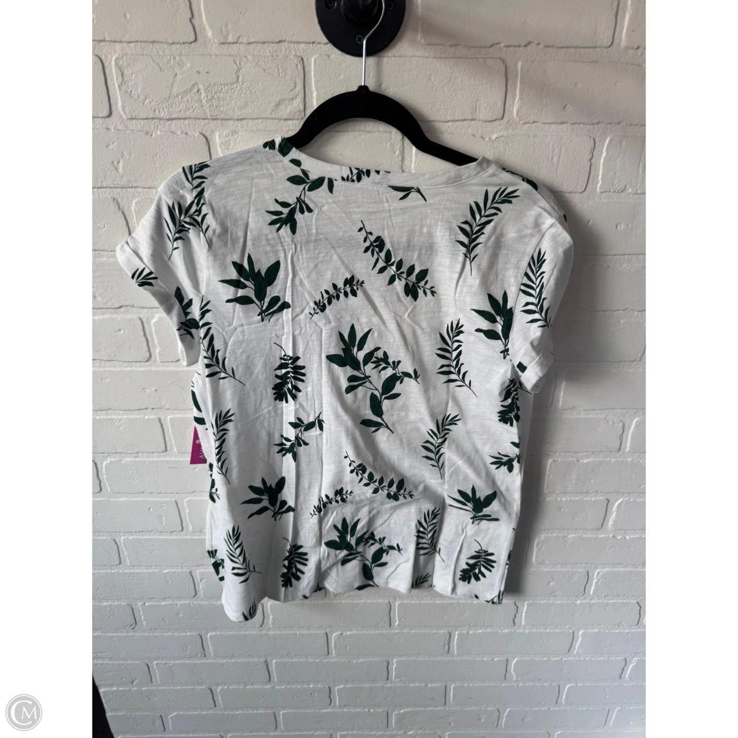 Top Short Sleeve Basic By Garnet Hill In Green & White, Size: M