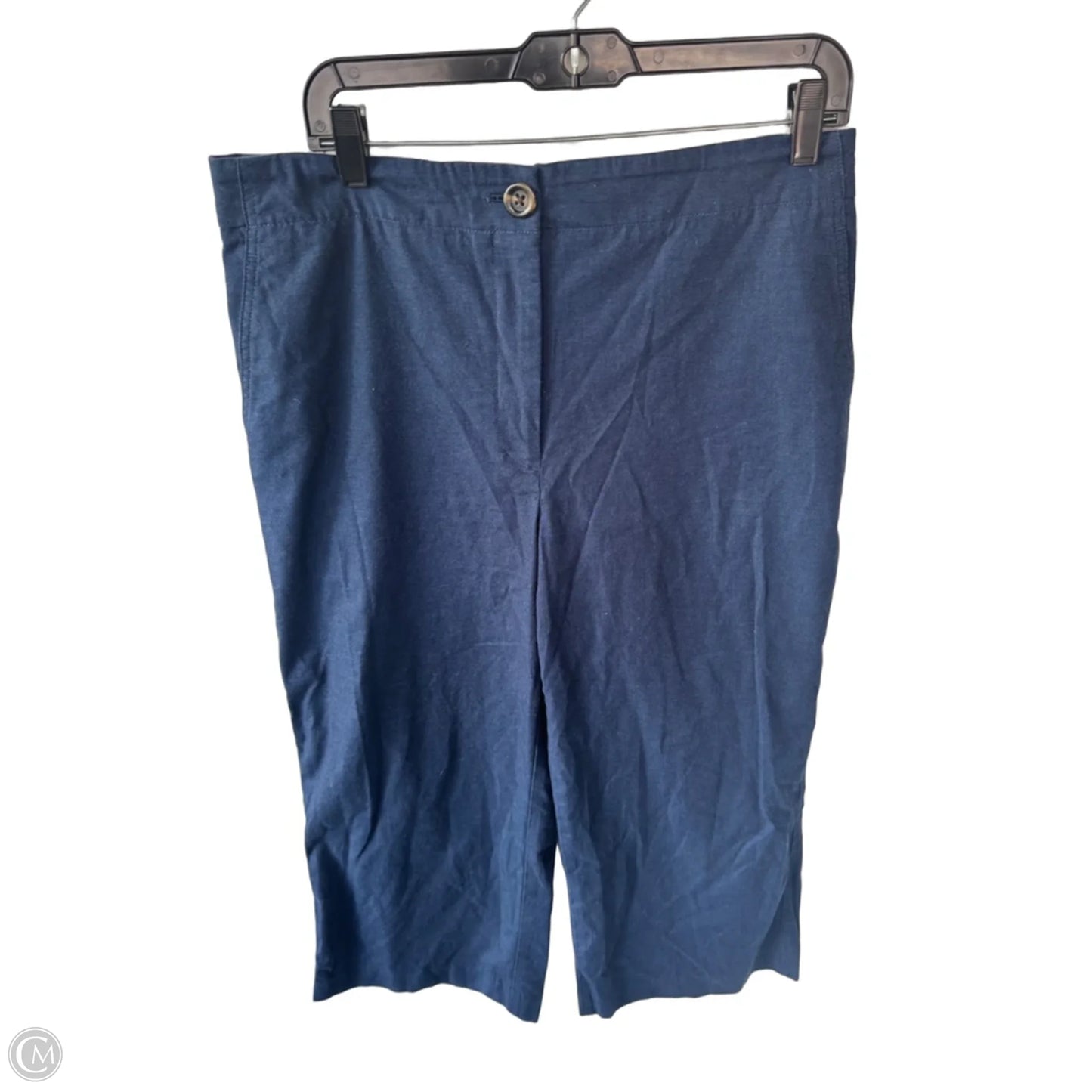 Pants Wide Leg By Ann Taylor In Blue, Size: 12