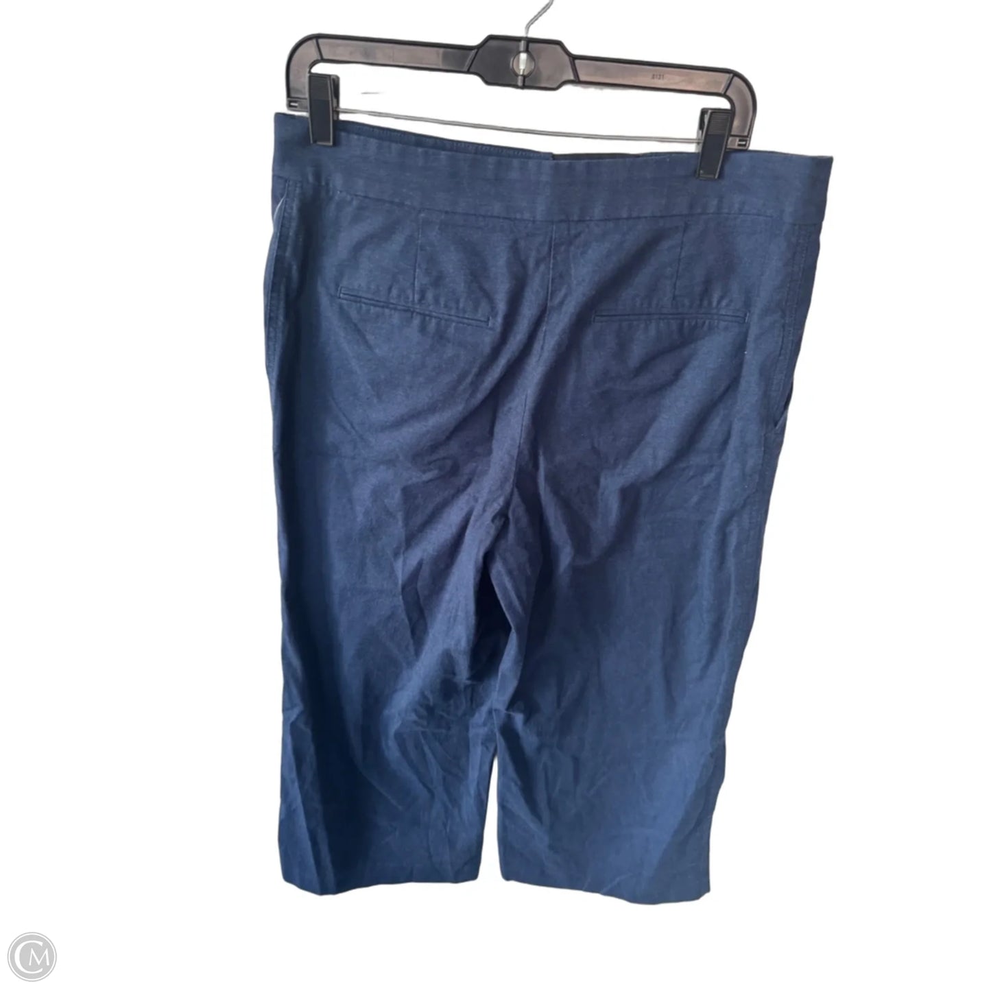 Pants Wide Leg By Ann Taylor In Blue, Size: 12