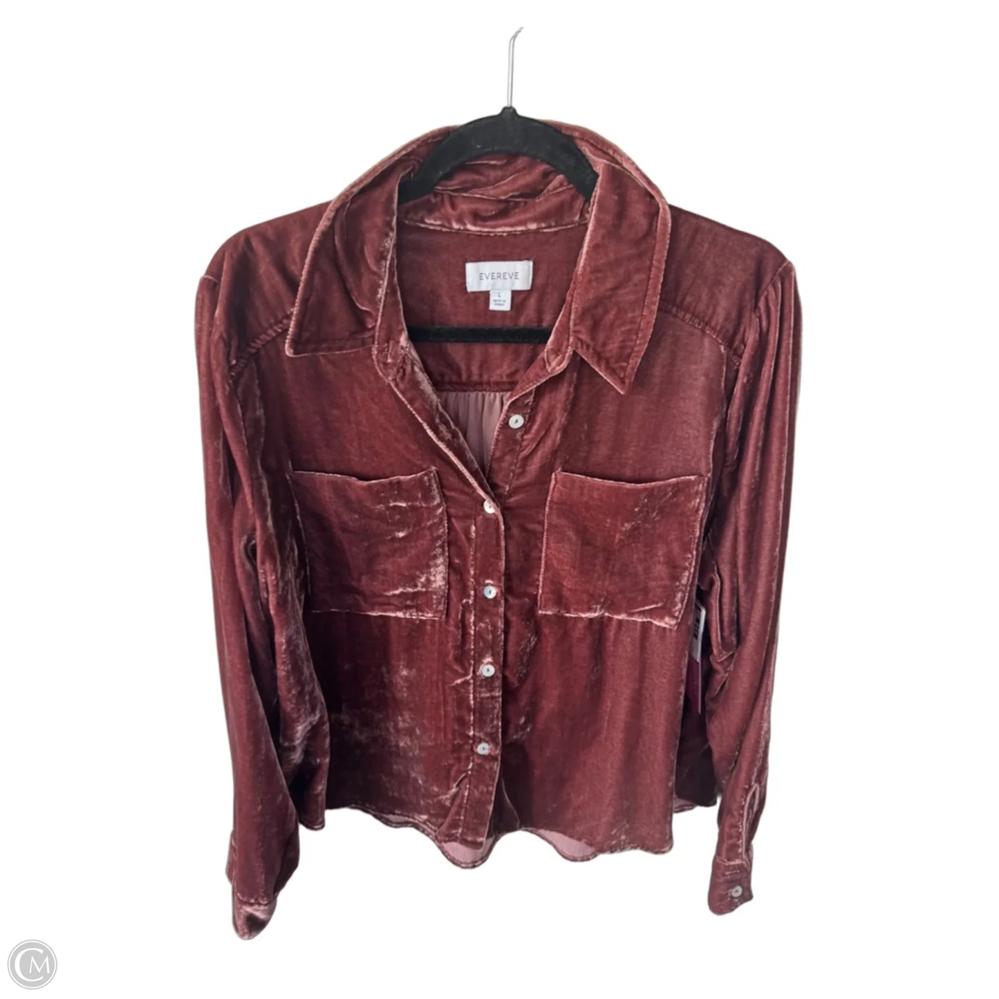 Top Long Sleeve By Evereve In Brown, Size: L