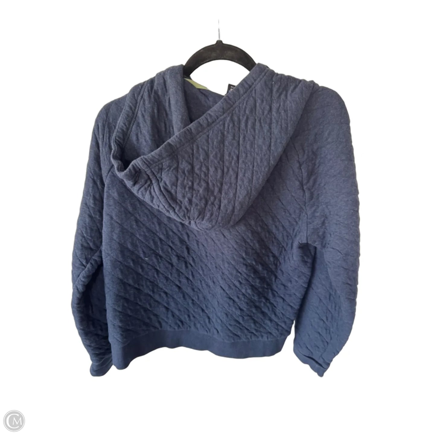 Sweatshirt Hoodie By Patagonia In Blue, Size: L