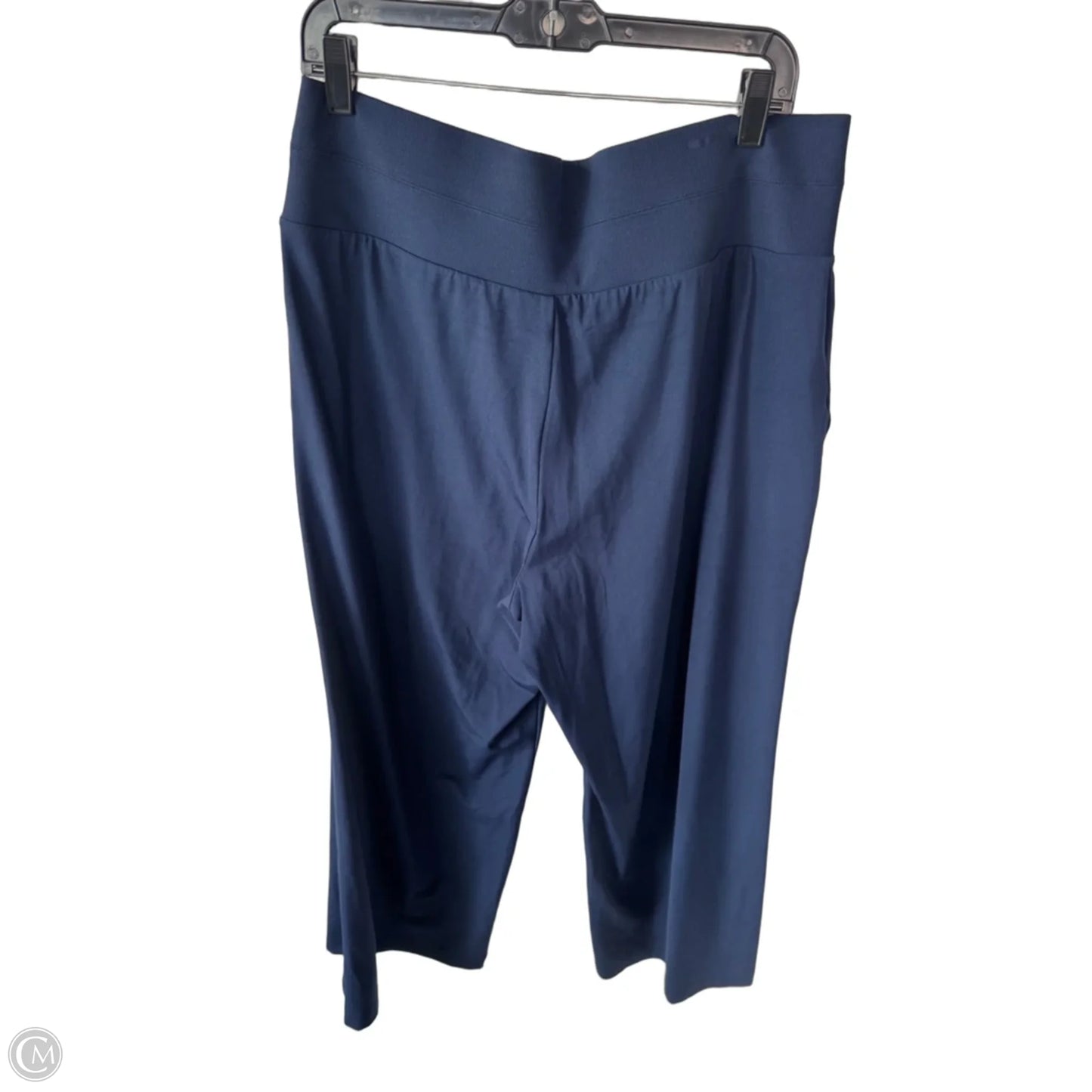 Pants Wide Leg By Lou And Grey In Blue, Size: 16