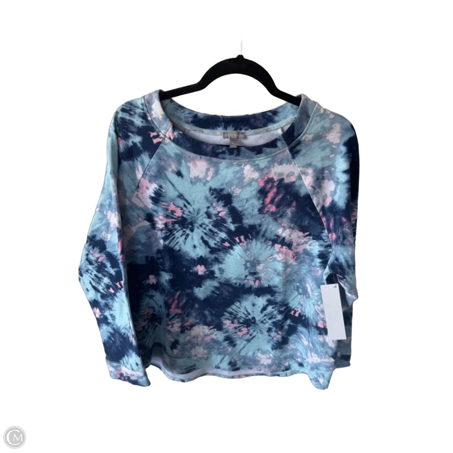 Sweatshirt Crewneck By Talbots In Blue & Pink, Size: Xlp