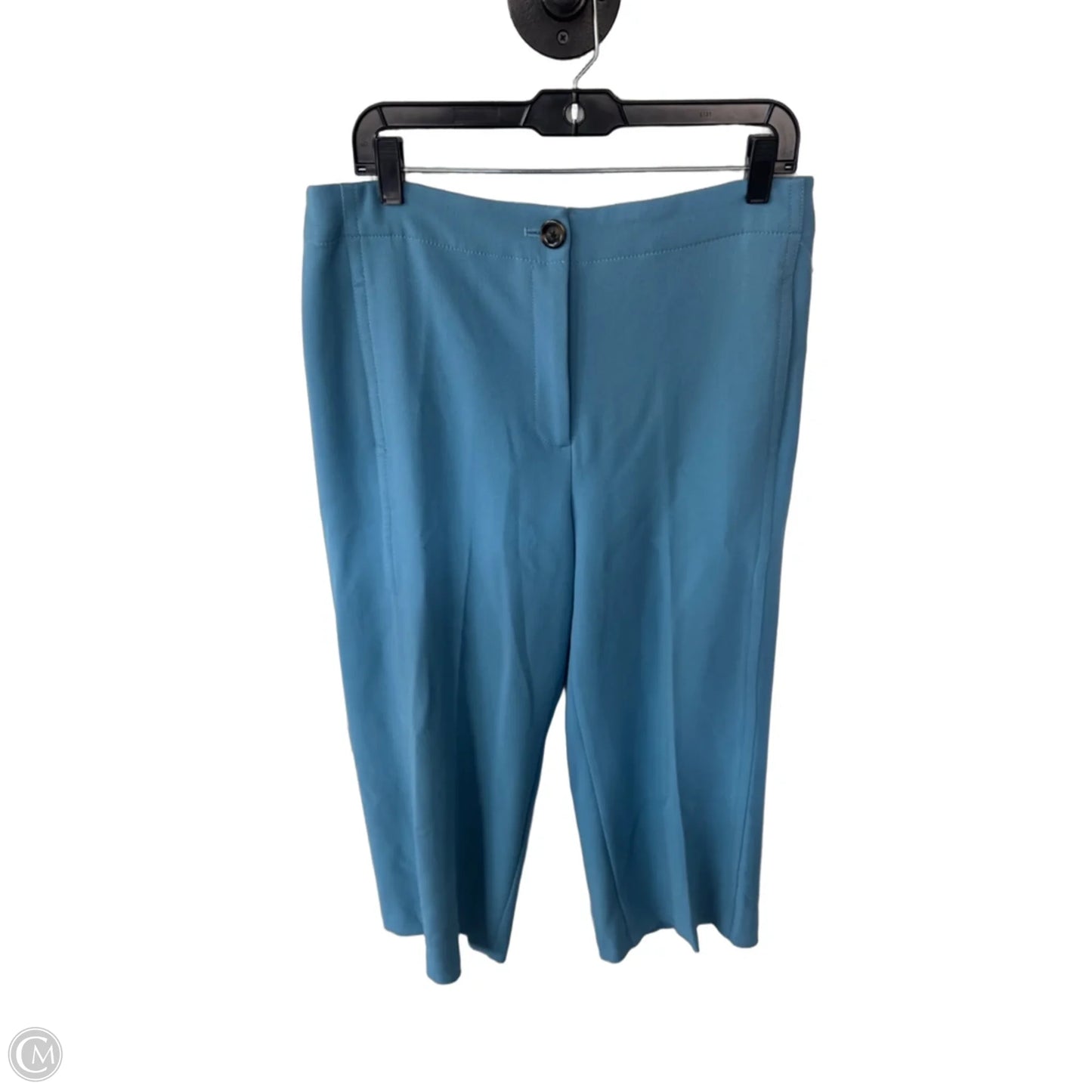 Pants Cropped By Ann Taylor In Blue, Size: 10