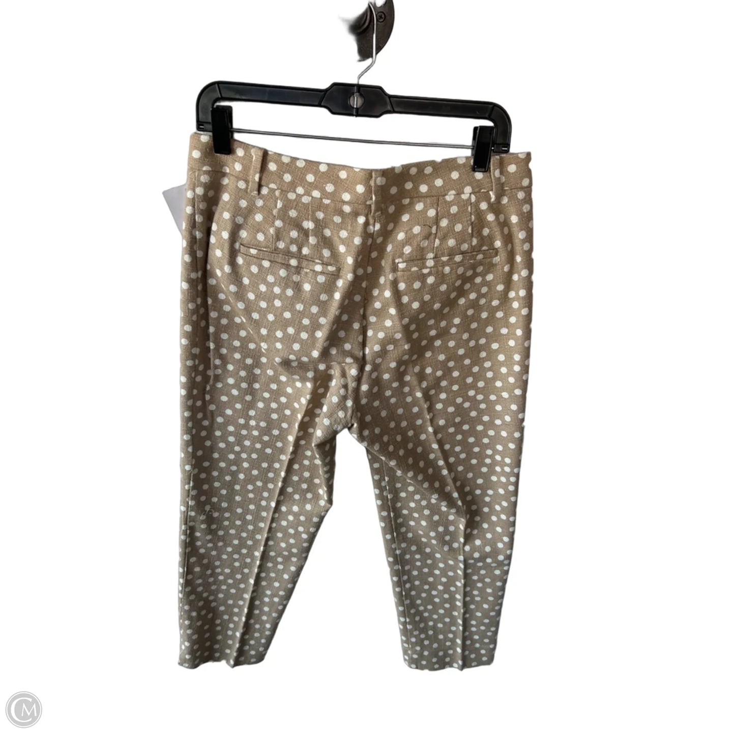 Pants Other By Ann Taylor In Tan & White, Size: 6