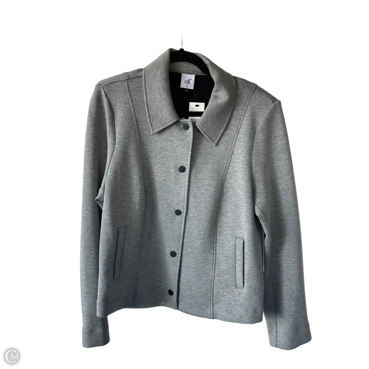 Jacket Other By Cabi In Grey, Size: Xl