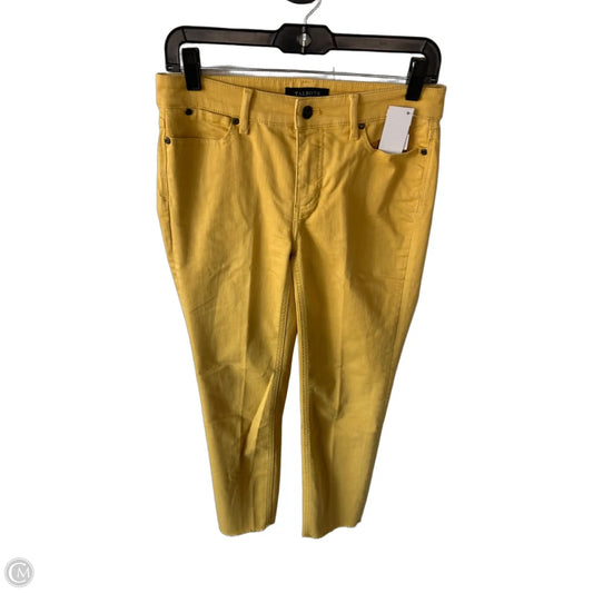 Jeans Straight By Talbots In Yellow Denim, Size: 2